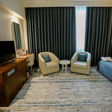 拜亚布尔萨酒店