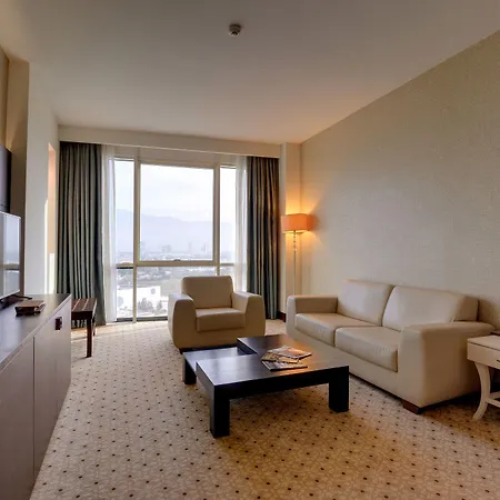 拜亚布尔萨酒店 伯萨