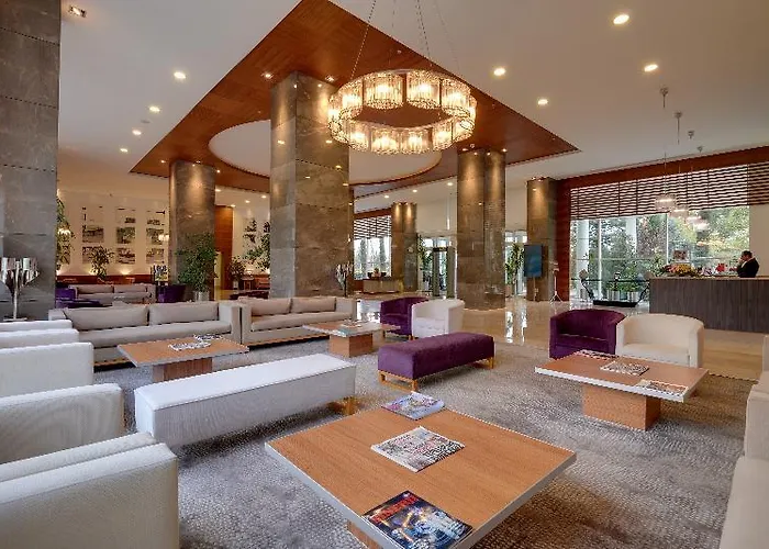 ホテル バイアブルサホテル 5*